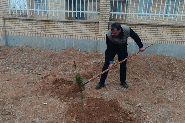 کاشت نهال در  شهر ایزدخواست به‌مناسبت هفته درختکاری