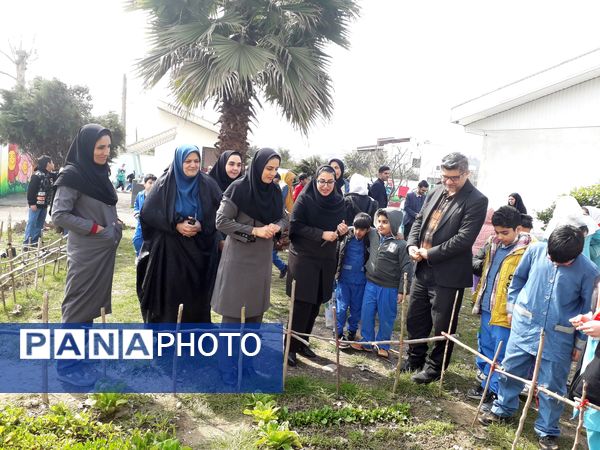 روز درختکاری و نیکوکاری در دبستان ارشاد قائمشهر
