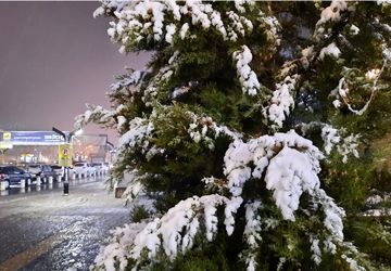 بارش برف در نقاط مختلف شهر مشهد مقدس