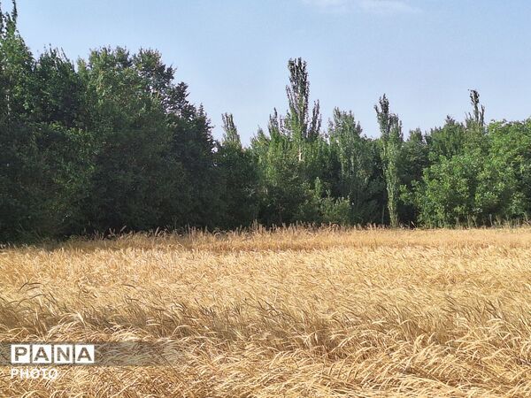 وقتی طبیعت، حرف می‌زند