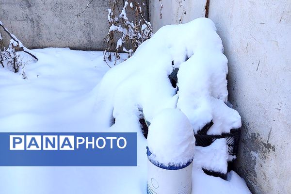 آسمان سخاوتمندانه نعمتش را در ماه شعبان به زمین شهر بار هدیه کرد