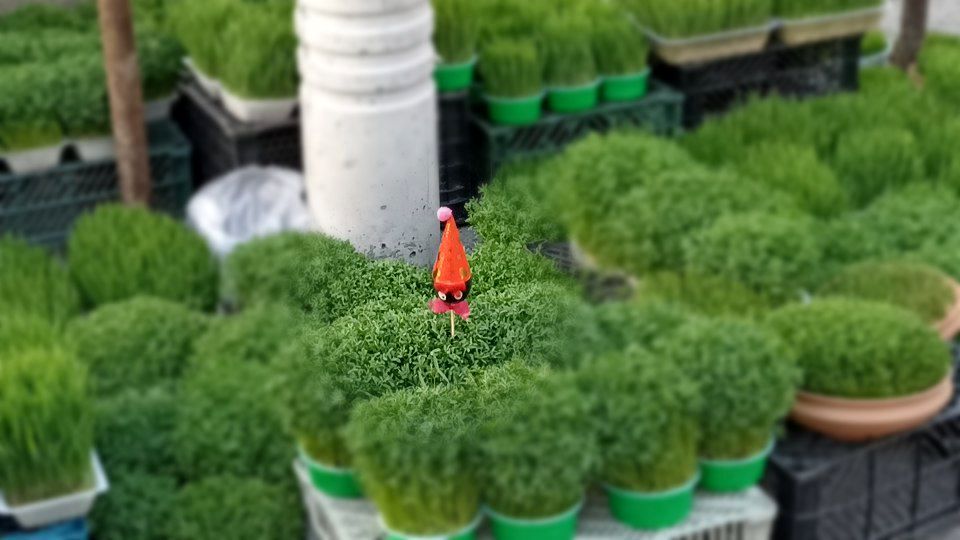 حال و هوای بازار عید نوروز در محمودآباد 