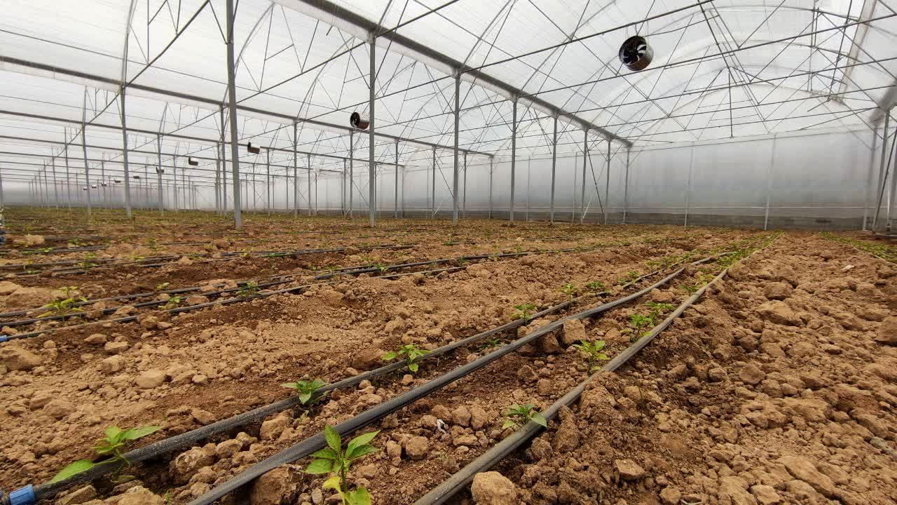 فاز دوم مجتمع گلخانه‌ای لردگان، آغاز فصل جدیدی در کشاورزی پایدار