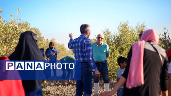 پاکسازی و کاشت نهال حرا در تالاب بندرخمیر