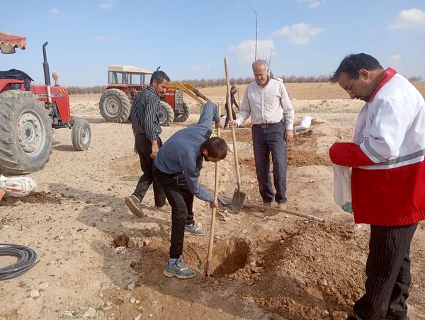 کاشت نهال در آرامستان روستای گزکوه