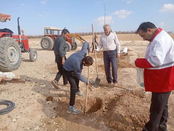 کاشت نهال در آرامستان روستای گزکوه