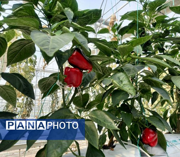 دومین تور رسانه‌ای مدیریت امور اراضی سازمان جهاد کشاورزی آذربایجان شرقی