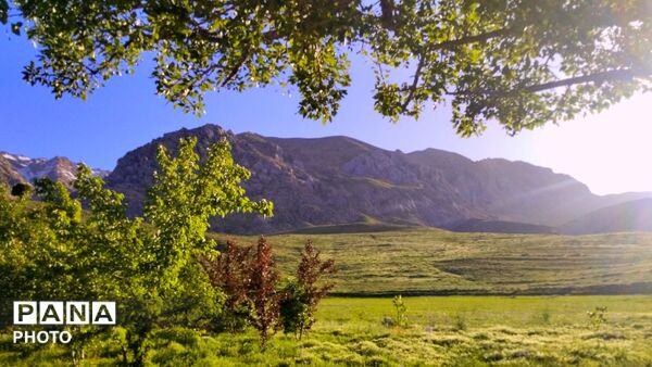 طبیعت دَستَنا؛ جلوه‌ای کم‌نظیر از آرامش و زیبایی در دل چهارمحال و بختیاری