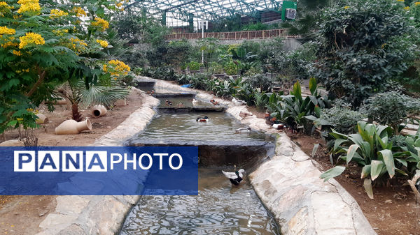 باغ پرندگان قم: جاذبه‌ای بی‌نظیر در قلب کشور