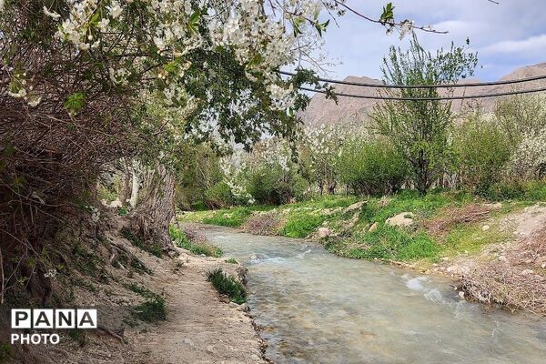 آلبوم تصویری از طبیعت زیبای شهر بار در اردیبهشت‌ماه  ۱۴۰۵ -1