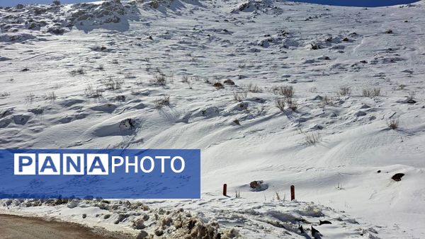 تفریحات زمستانه در دامنه‌های زاگرس