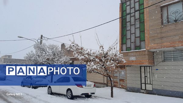 عروس فصل‌ها باری دیگر مهمان شهرستان بن