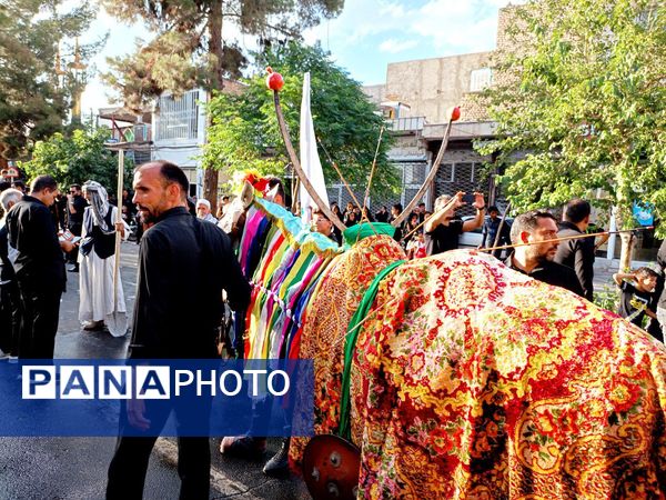 حرکت نمادین کاروان بندی اسد روستای فدافن و آیین نخل گردانی در کاشمر 