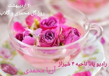  از دل خار، عطر امید و زندگی می‌آید