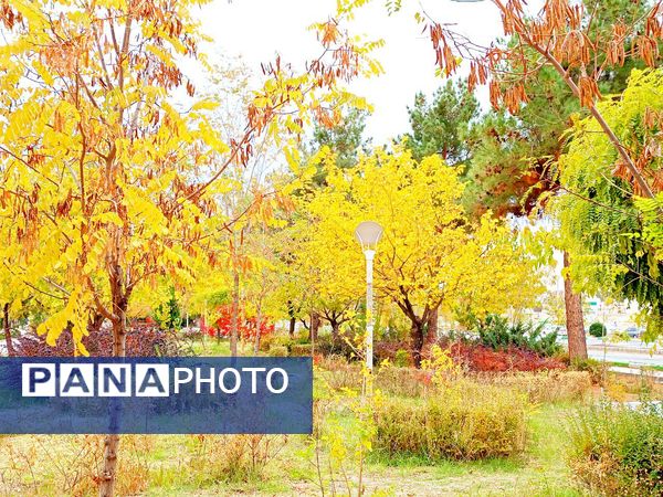 کاشمر در برگریزان پاییز