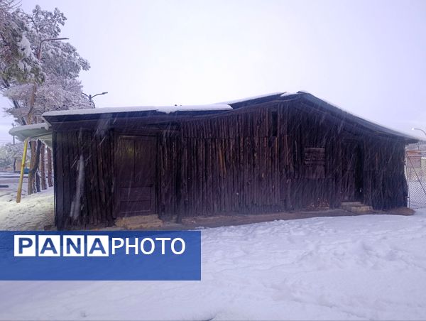 سفید مثل برف