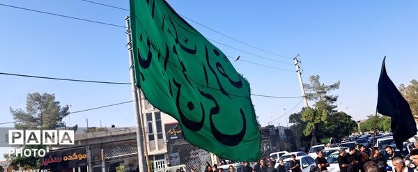 ورود باشکوه کاروان بنی اسد (ع) و نخل بزرگ فدافن به میعاد گاه عاشقان 
