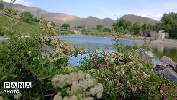 از آبی آرام دریاچه مادر تا عطر عرفان آرتیمانی؛ روایت زیبایی‌های تویسرکان