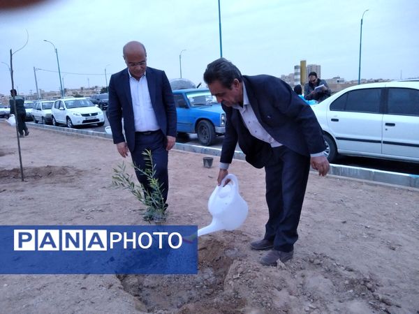 پویش مردمی درخت یادگار در یزد 