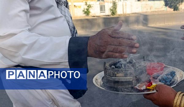 کاروان پیاده انصارالحسین به منطقه خانمیرزا رسید 