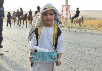 شور حسینی در پیاده‌روی جاماندگان اربعین لارستان