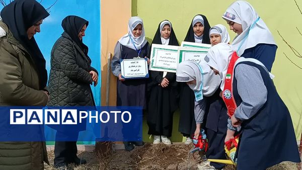 مراسم درخت‌کاری در زنجان