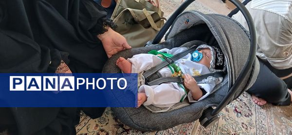 همایش شیرخوارگا‌ن حسینی در محمدشهر کرج