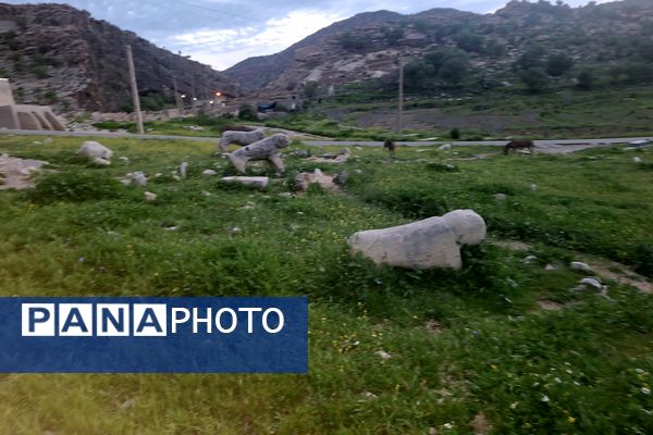 قبرستانی تاریخی و سرسبز به قدمت چند صد ساله در فارس