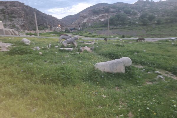 قبرستانی تاریخی و سرسبز به قدمت چند صد ساله در فارس