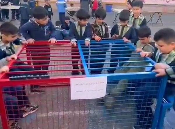 روز بازی و نشاط دانش‌آموزان در دبستان زنده‌یاد سیامک اسماعیلی قائمشهر