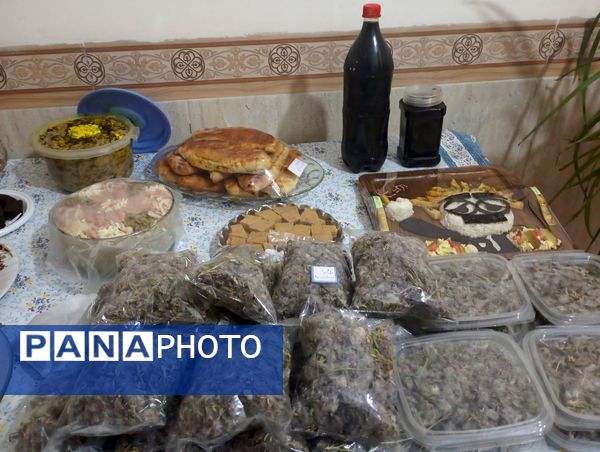 نمایشگاه هفته ماها در مدرسه فضیلت فاروج