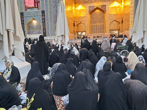 کبوتر حرم مشهد مقدس