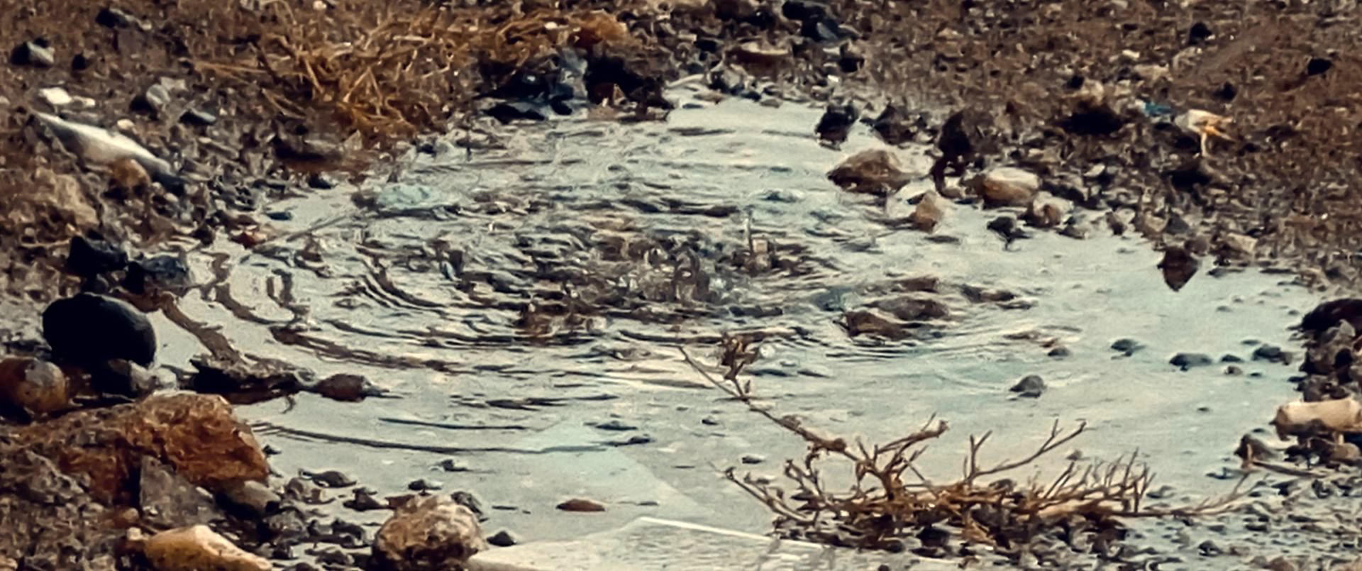 بارانی که پس از روزهای آلوده، هوای شهر را جان دوباره بخشید