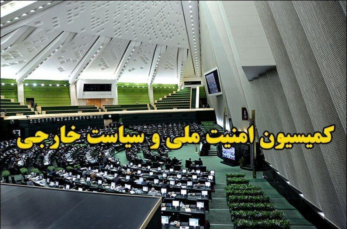 کمیسیون امنیت ملی مجلس: نیروهای مسلح تا پشیمانی دشمن دست از ماشه بر نخواهند داشت