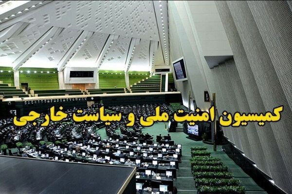 کمیسیون امنیت ملی مجلس: نیروهای مسلح تا پشیمانی دشمن دست از ماشه بر نخواهند داشت
