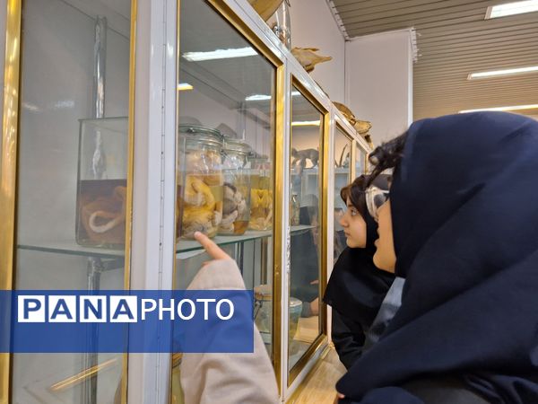 بازدید دانش‌آموزان از موزه زمین شناسی و جانور شناسی دانشگاه فردوسی مشهد
