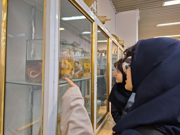 بازدید دانش‌آموزان از موزه زمین شناسی و جانور شناسی دانشگاه فردوسی مشهد