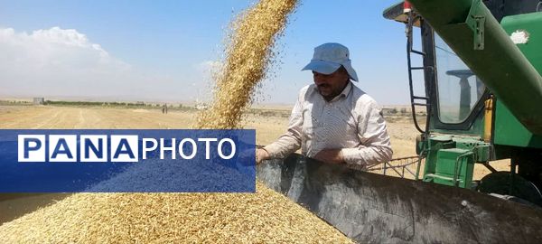 بازدید از مراکز خرید گندم در شهرستان فاروج