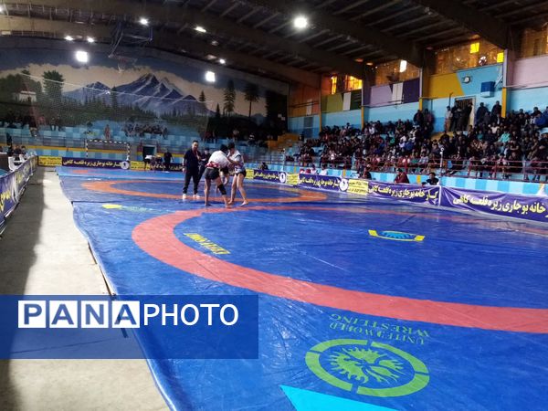 رقابت ۳۵۰ کشتی گیر در تربت جام 