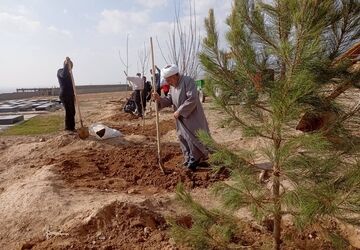 نهال کاری در آرامستان روستای گزکوه 