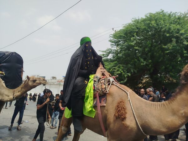 مراسم عزاداری روز عاشورا در میناب