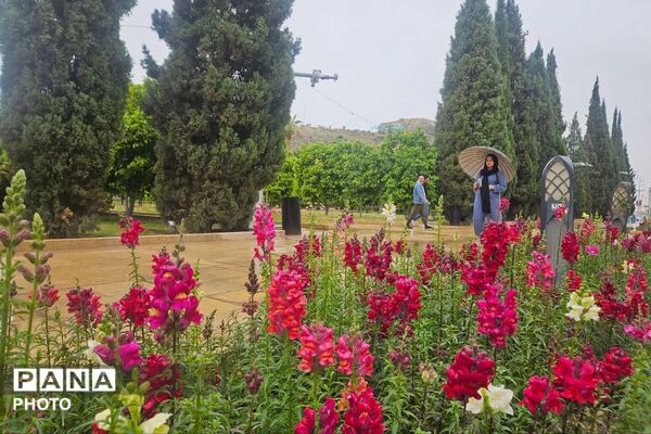 سعدی؛ مردی که کلامش جهان را تسخیر کرد