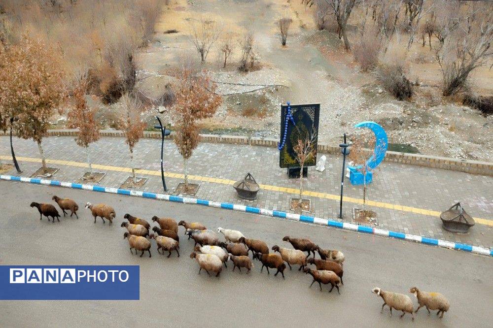 چهره شفاف و دل انگیز شهربارنیشابور با بارش  باران پاییزی  