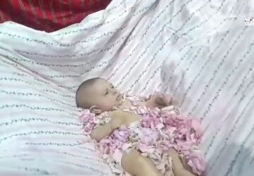 جشن سنتی گل‌غلتان با عطر گل محمدی در پارک تفریحی پیرخوشدر شهر کلاته‌رودبار