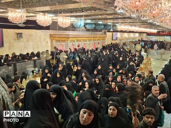 جایی که دل‌ها آرام می‌گیرد؛ گذری به روایت تصویر از آستان مقدس علوی تا حریم امن حسینی