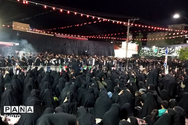 از کربلا تا ایران؛ عزاداران حسینی با پرچم ایران، پیام وحدت و استقامت را فریاد زدند