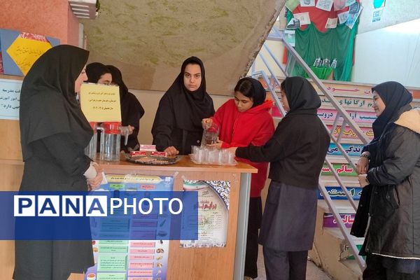 آغاز طرح مکمل یاری با آهن و ویتامین دی در مدارس کهریزک