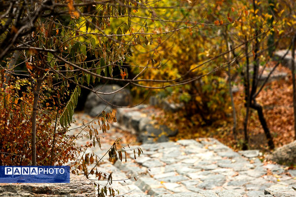 پاییز خیال انگیز در پارک جمشیدیه