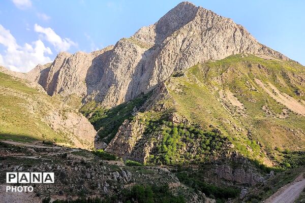 کوه های شهر بار ذخیره‌گاه گیاهان ارزشمند و کم نظیر دارویی 