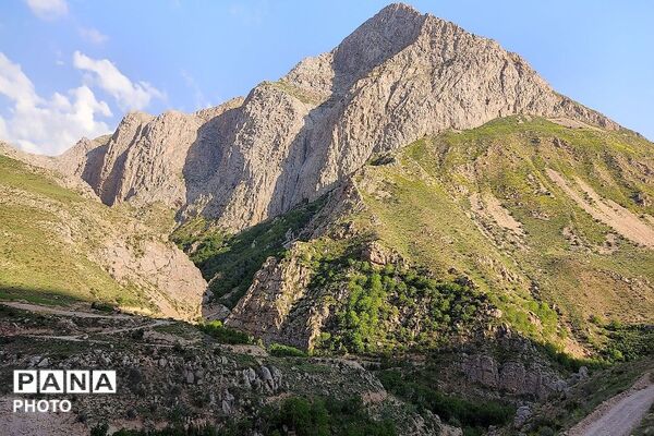کوه های شهر بار ذخیره‌گاه گیاهان ارزشمند و کم نظیر دارویی 